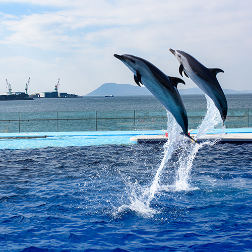 四国水族館